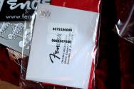 FENDER "60th Anniversary Commemorative Stratocaster" HARDCASE, 3, 44 KG