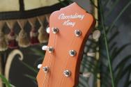 RECORDING KING Dirty 30s Series 7 Single 0, Monarch Orange (RPS-7-MOR)