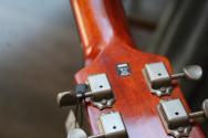 EASTMAN "SB55 Double Cut Truetone Vintage Red" HARDCASE, 2, 94 KG