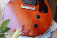 EASTMAN "SB55 Double Cut Truetone Vintage Red" HARDCASE, 2, 94 KG