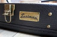 EASTMAN Antique Varnish E22OOSS/V Sunburst, HARDCASE