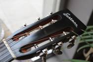 EASTMAN Antique Varnish E22OOSS/V Sunburst, HARDCASE