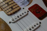 GVT "Double Cut Custom Special 1956 Gold Glitter Sparkle (Nitro Finish, Maple Neck)" HARDCASE,3, 41 KG