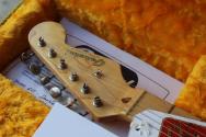 GVT "Double Cut Custom Special 1956 Gold Glitter Sparkle (Nitro Finish, Maple Neck)" HARDCASE,3, 41 KG