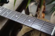 PATINA "PS-3 Sherwood Green SSS" 3, 28 KG