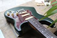 PATINA "PS-3 Sherwood Green SSS" 3, 28 KG