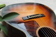 EASTMAN Antique Varnish E22OOSS/V Sunburst, HARDCASE