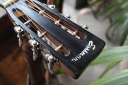 EASTMAN Antique Varnish E22OOSS/V Sunburst, HARDCASE