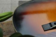 EASTMAN Antique Varnish E22OOSS/V Sunburst, HARDCASE