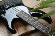 ARIA PRO II "SB-CLB "Cliff Burton Signature Model" GIGBAG, 4, 53 KG