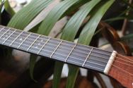 MARTIN "000 Jr E Jeff Tweedy" GIGBAG