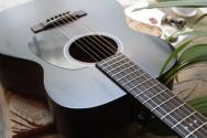 MARTIN "000 Jr E Jeff Tweedy" GIGBAG