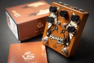 VS AUDIO "Blackbird Deluxe"