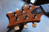 PRS "DGT Semi-Hollow Electric Guitar, Tiger Eye, Moons" HARDCASE