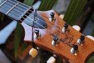PRS "DGT Semi-Hollow Electric Guitar, Tiger Eye, Moons" HARDCASE