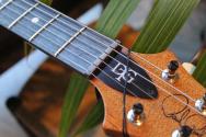 PRS "DGT Semi-Hollow Electric Guitar, Tiger Eye, Moons" HARDCASE
