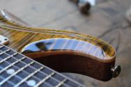 PRS "DGT Semi-Hollow Electric Guitar, Tiger Eye, Moons" HARDCASE