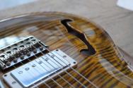 PRS "DGT Semi-Hollow Electric Guitar, Tiger Eye, Moons" HARDCASE
