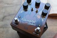 VS AUDIO "Blackbird Deluxe"