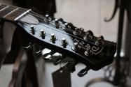 DANELECTRO Vintage 12 Strings F Hole, Black, 3, 60 KG