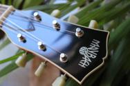 MAYBACH Capitol 59 Wild Cherry Aged , HARDCASE, 3, 06 KG