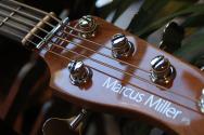 SIRE "Marcus Miller P5R 5-String Vintage White"