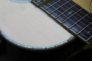 RECORDING KING RP-342 Tonewood R E Single O