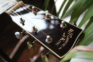 RECORDING KING RP-342 Tonewood R E Single O