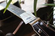 RECORDING KING RP-342 Tonewood R E Single O