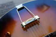 EASTMAN "AR405 P90/TV Sunburst" GIGBAG