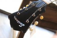 EASTMAN "AR405 P90/TV Sunburst" GIGBAG