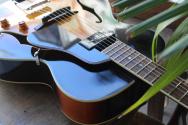 EASTMAN "AR405 P90/TV Sunburst" GIGBAG