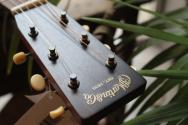 MARTIN "000-17 Whiskey Sunset"