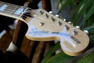 SQUIER "Paranormal Troublemaker Telecaster Deluxe Bigsby" 3, 93 KG