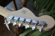 SQUIER "Paranormal Troublemaker Telecaster Deluxe Bigsby" 3, 93 KG