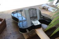 SQUIER "Paranormal Troublemaker Telecaster Deluxe Bigsby" 3, 93 KG