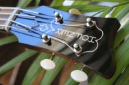 HOFNER "Violin Bass - 61 'Cavern' 60th Anniversary Edition"PIECE 21 OF 60 MADE WORLDWIDE