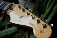 FENDER "Player II Stratocaster, Rosewood Fingerboard, Cactus Gray"