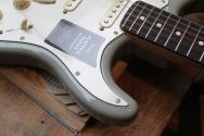 FENDER "Player II Stratocaster, Rosewood Fingerboard, Cactus Gray"