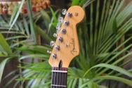 FENDER "Player II Stratocaster, Rosewood Fingerboard, Cactus Gray"