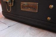 EASTMAN "E6 E6SS Thermo-Cure, Sunburst" HARDCASE