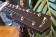 EASTMAN "E6 E6SS Thermo-Cure, Sunburst" HARDCASE
