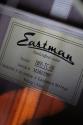 EASTMAN "E6 E6SS Thermo-Cure, Sunburst" HARDCASE