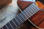 BOURGEOIS "Hogtop 0014 Down East Series" HARDCASE