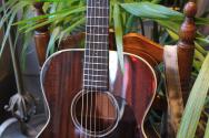 BOURGEOIS "Hogtop 0014 Down East Series" HARDCASE