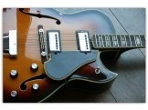 AE-11 Jazz Archtop Guitar